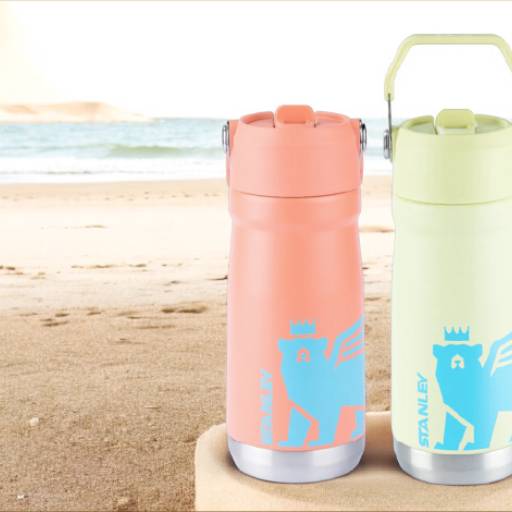 Garrafa Térmica Flip Straw Youth Stanley 500ml