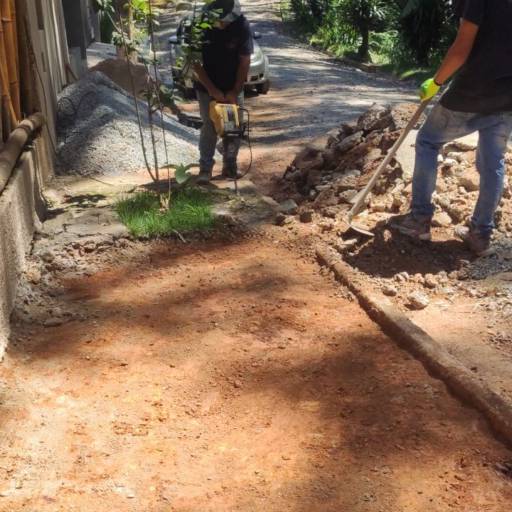 Preparação de Canteiro e Limpeza de Terreno em Ninho Verde I