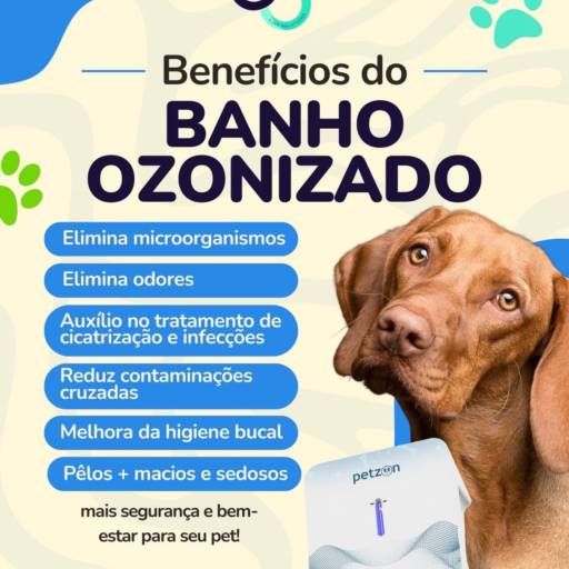 Banho Ozonizado em Praia Grande SP – Saúde e Proteção