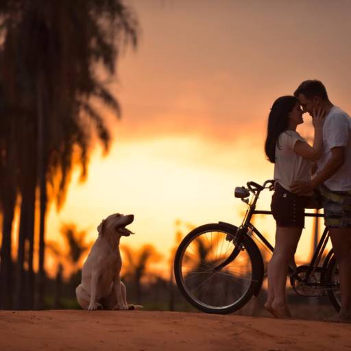 Ensaio Casal Birigui