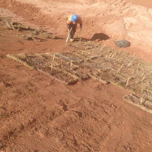 Plantio de Grama em Área Inclinada para Ecovita em Bauru