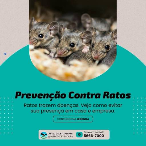 Prevenção Contra Ratos em Ibiúna, SP | Ambiente Seguro