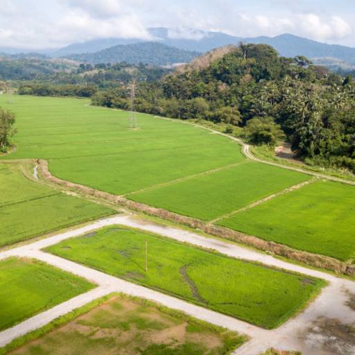 Divisão De Terreno Em Avaré SP Com Segurança