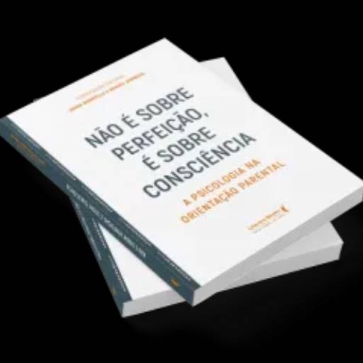 Livro: Não é sobre perfeição, é sobre consciência