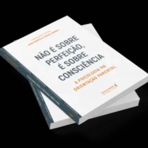 Livro: Não é sobre perfeição, é sobre consciência