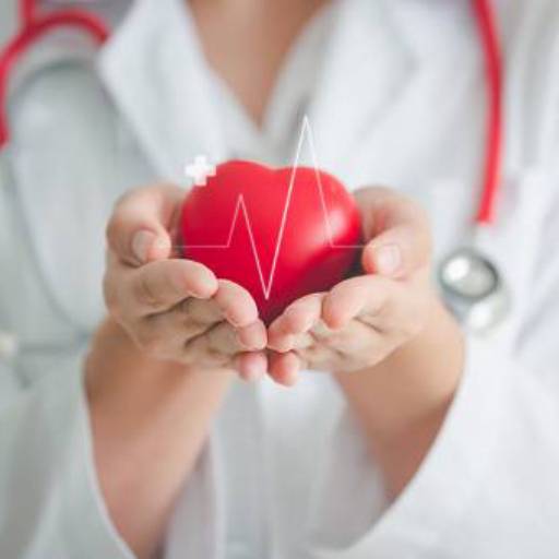 Cardiologia