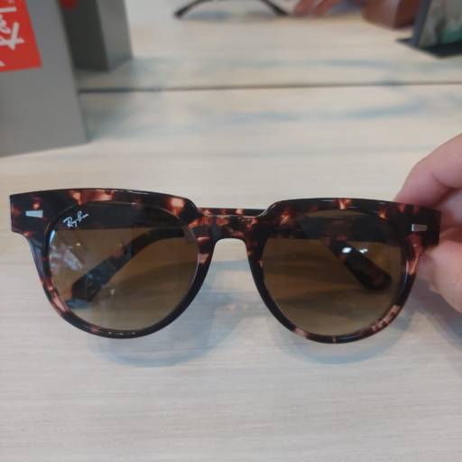 Óculos de sol Ray Ban Meteor tartaruga