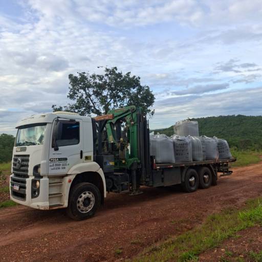 Transporte de Bags 