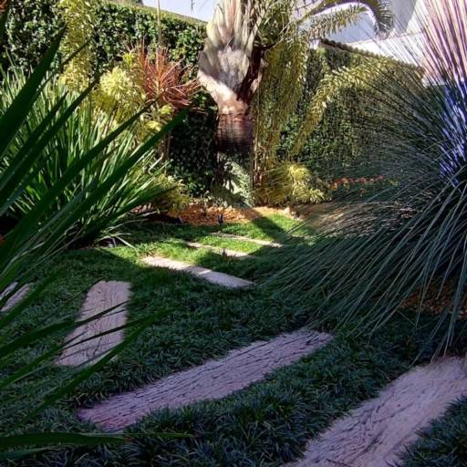 Adubação de jardim 
