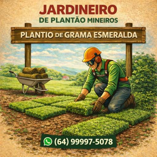 Plantio de Grama Esmeralda