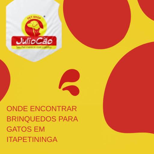 Onde Comprar Brinquedos para Gatos em Itapetininga 