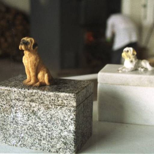 Crematório Pet
