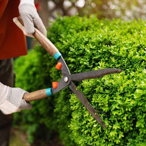 Poda em Campinas para Jardins Mais Saudáveis
