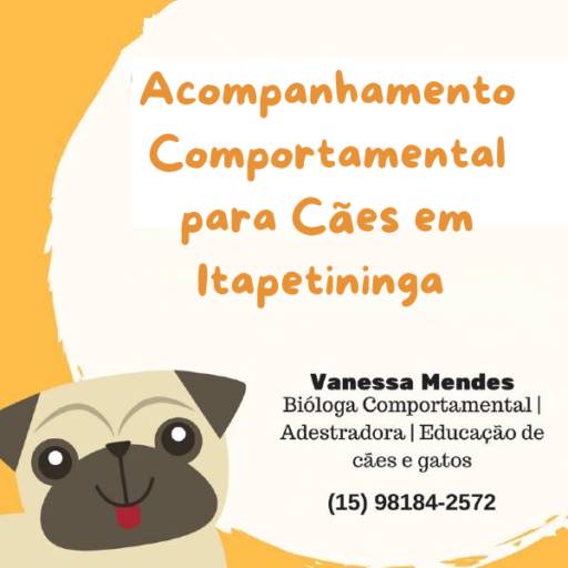 Acompanhamento Comportamental para Cães em Itapetininga 
