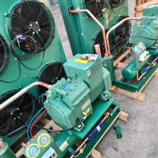 Manutenção em Compressor Bitzer - Confiança em Catanduva