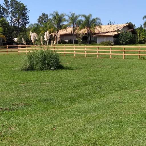 Montagem Rural com Qualidade e Tradição no Campo