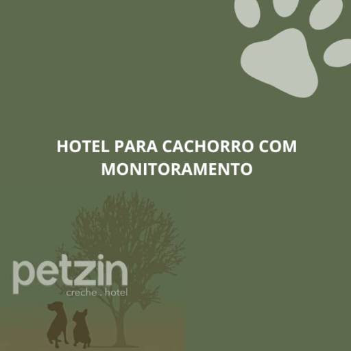 Hotel para Cachorro com Monitoramento