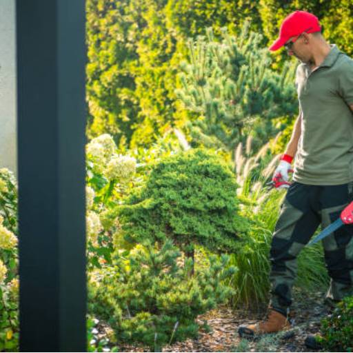 Manutenção de Jardins e Áreas Verdes em Riviera de Santa Cristina I, SP