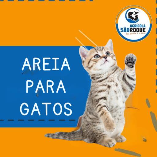 Areia para Gatos em Itapetininga