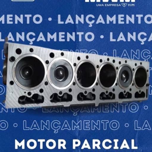 Motor Parcial NGD 9.3 6CC em Atibaia