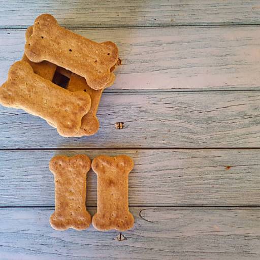 Biscoitos Veterinários em Barra Bonita
