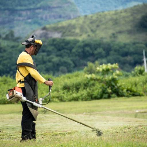 Limpeza e Destoca de Terrenos em Avaré