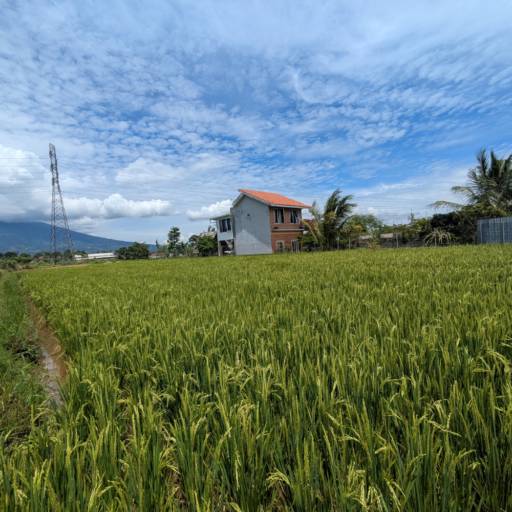 Medição de Terreno Precisa em Avaré SP