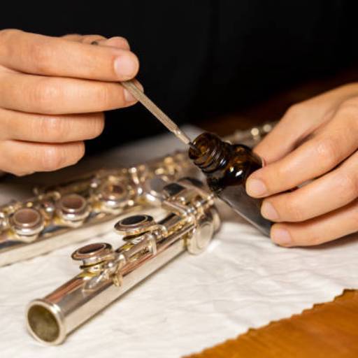 Manutenção de Instrumentos de Sopro e Metais em Itapira