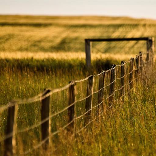 Conserto de Eletrificador de Cerca Rural 