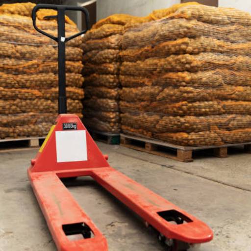 Paleteira 2.500 kg para Locação em Cambuí