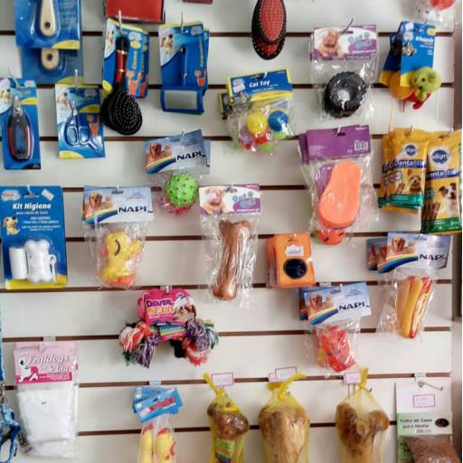 Comprar o produto de Brinquedos para seu Pet em A Classificar pela empresa Pet Avenida em Bauru, SP por Solutudo