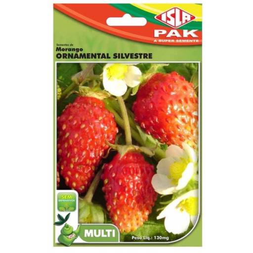 Comprar o produto de semente de morango ornamental silvestre  em A Classificar pela empresa Botucatu Garden em Botucatu, SP por Solutudo