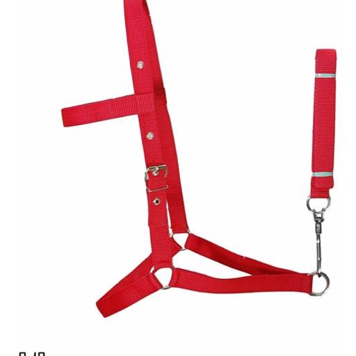 Cabresto de fita comum vermelho em Bom Jesus dos Perdões, SP por Agropecuária Lukan