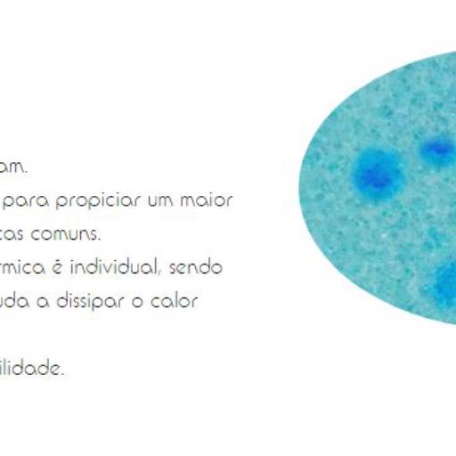 Colchão Norwood Molas Ensacadas Organic Cotton por Deko Colchões & Enxovais