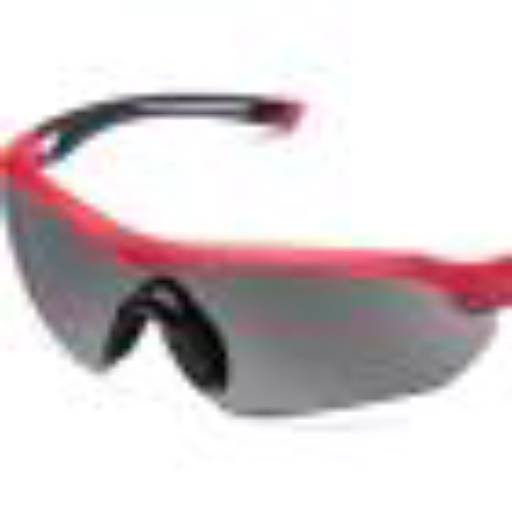 Óculos Steelflex Modelo:Florence fumê CA40904 em Jundiaí, SP por Dom Quixote Equipamentos de Proteção Individual