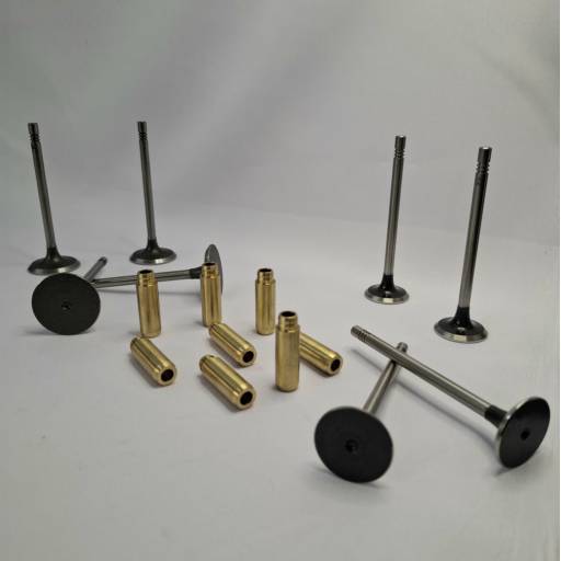 Válvulas / Guias de válvulas para máxima performance