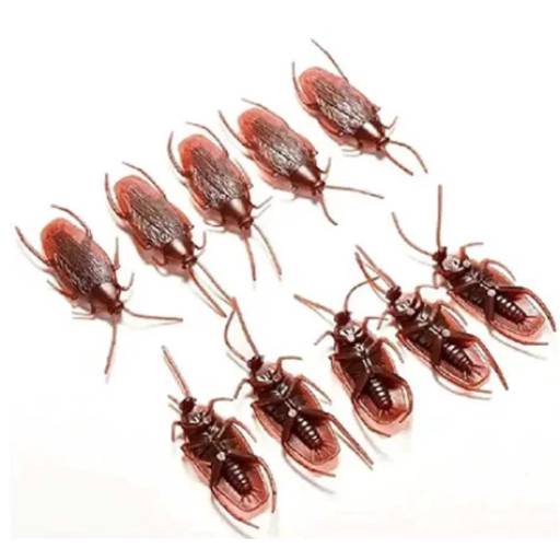 Barata Plástica 4,5cm pacote com 12un - PARTIUFESTA em Foz do Iguaçu, PR por EmbalaFoz Tudo em Embalagens