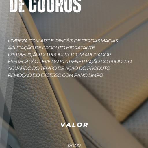 Limpeza e Hidratação de Couro em Lençóis Paulista – Cuidado Premium por Purgano stetic car