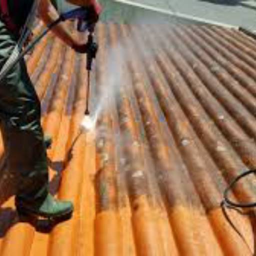 Limpeza de telhados por Art’s Calhas e Calçadas