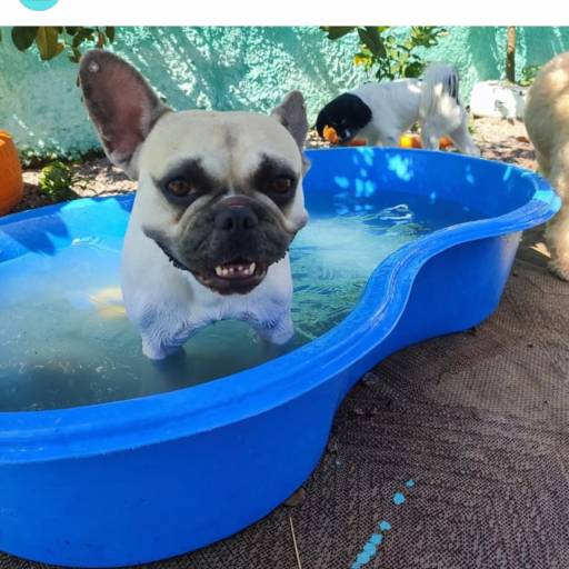 Um pouco das atividades em nosso hotel 