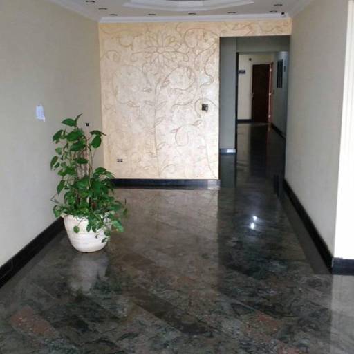 Aplicação de Grafiato por Léo do Grafiato