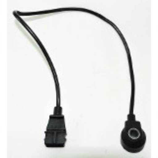 Sensor De Detonação Palio,bravo,uno,fiori por Casa da Injeção Caraguá