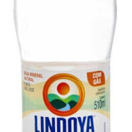 Agua com gas Lindoya 500 Ml por Disk Acqua Já / Disk Acqua Vita