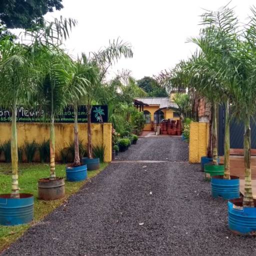 Paisagismo por Jefferson Meurer Paisagismo