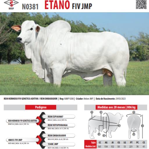 Touro Nelore Etano FIV JMP (N0381)