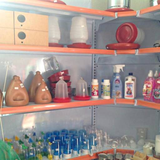 Bebedouro para Aves 