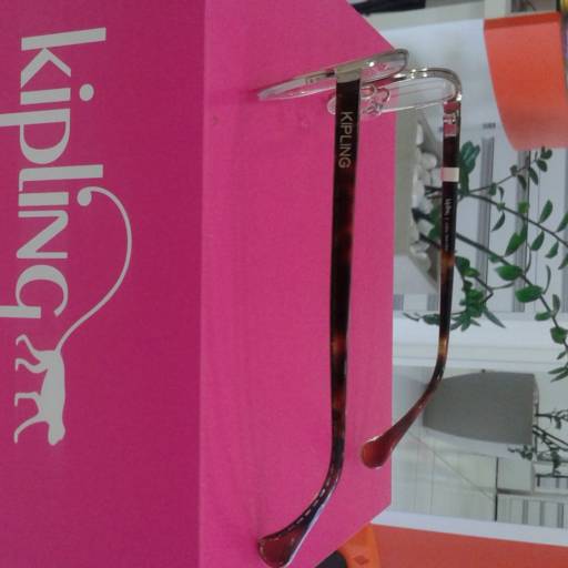 Kipling 1105 por Ótica Foco