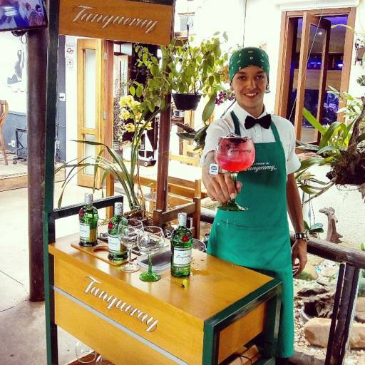 Tanqueray por Fried Fish Vilarejo