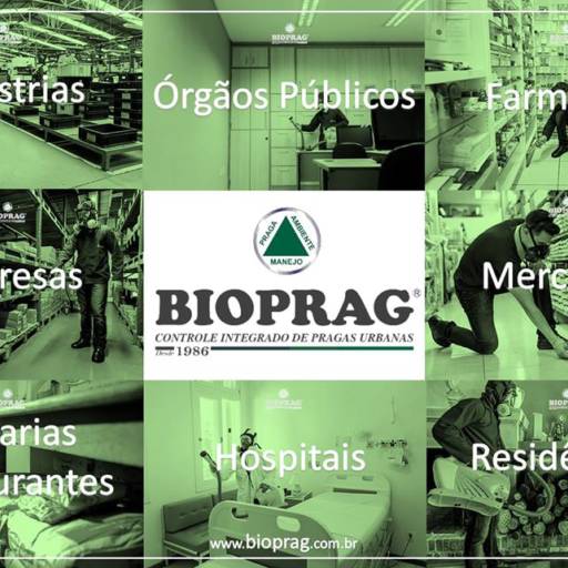 Bioprag Dedetizadora por Bioprag - Controle Integrado de Pragas Urbanas - Boituva
