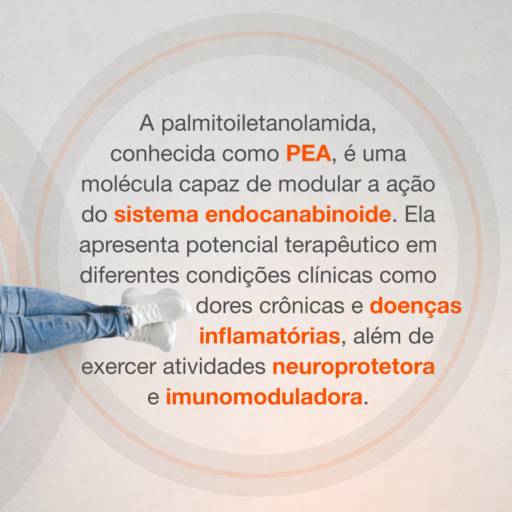Pea Active 300mg 30 cápsulas em Atibaia, SP por Farmalu - Farmácia de Manipulação